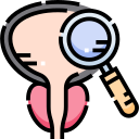 Supports Healthy Blood Flow